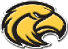 Eagle-head-3-d-100