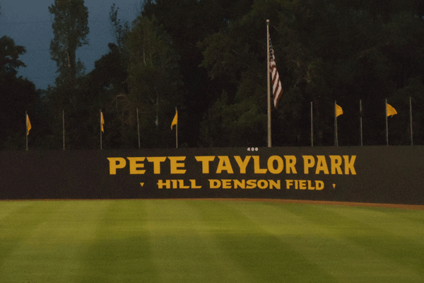Pete-Taylor-Park2